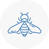 Bee Nest Removal Eaglescliffe