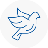Bird Prevention Eaglescliffe