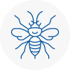 Eaglescliffe Hornet Nest Removals