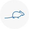 Mice Exterminators In Eaglescliffe