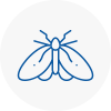 Moth Control Specialists In Eaglescliffe