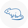 Rat Control Eaglescliffe