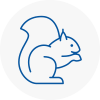 Eaglescliffe Rodent Removals