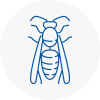 Eaglescliffe Wasp Nest Removal